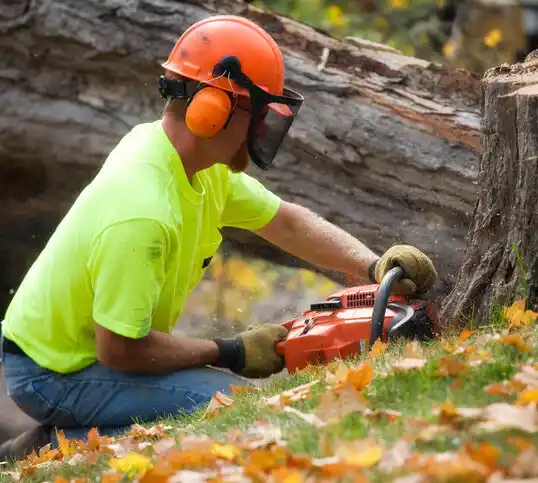 tree services Hickman